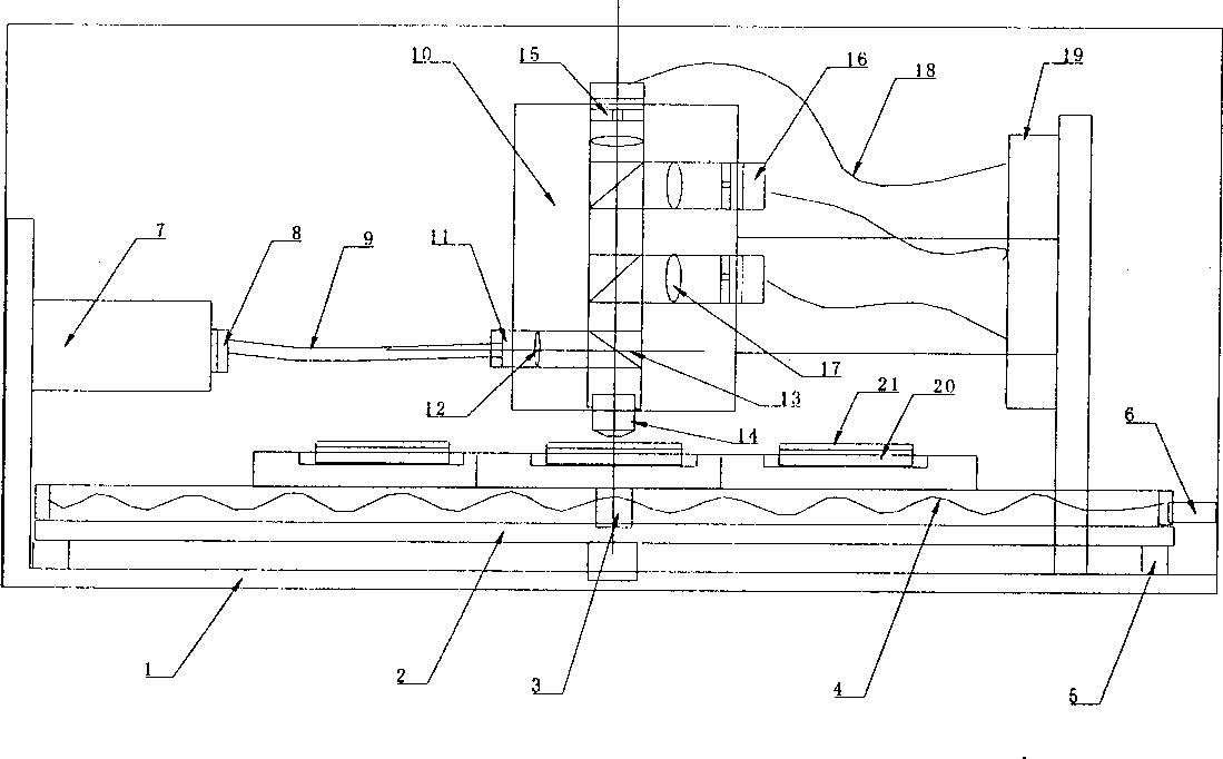 Time-resolved fluorescnet detection method and detector for gene chip