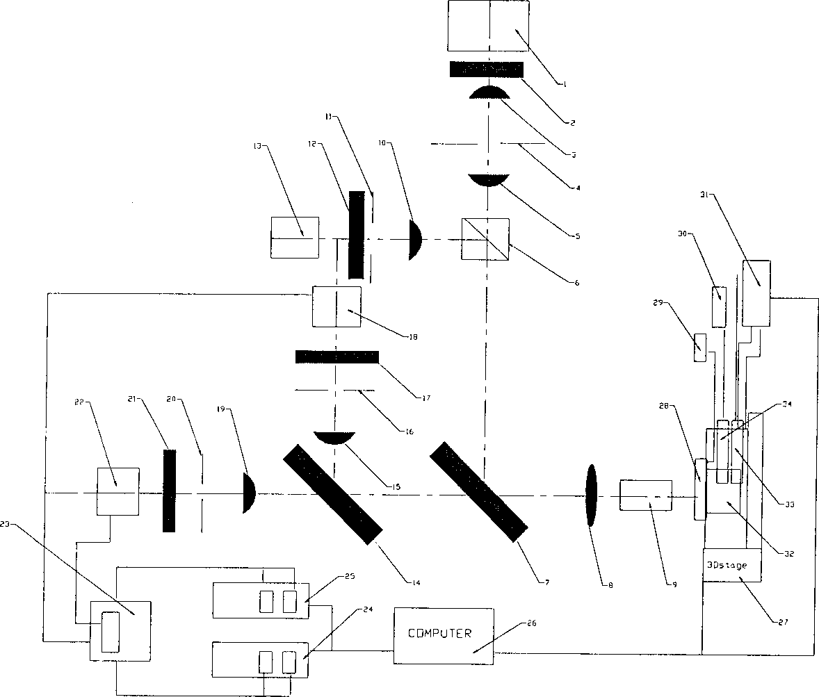 Time-resolved fluorescnet detection method and detector for gene chip