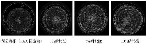 Method for enhancing contrast of microscopic CT plant sample