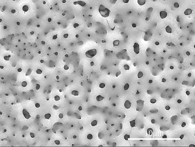 A kind of preparation method of micro-nano composite structure on the surface of titanium material