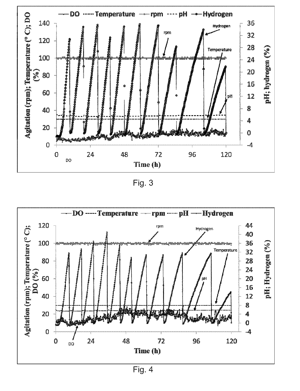 Process for hydrogen production from glycerol