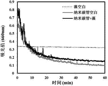 Method for efficiently removing algae from water bodies utilizing carbon nanotubes