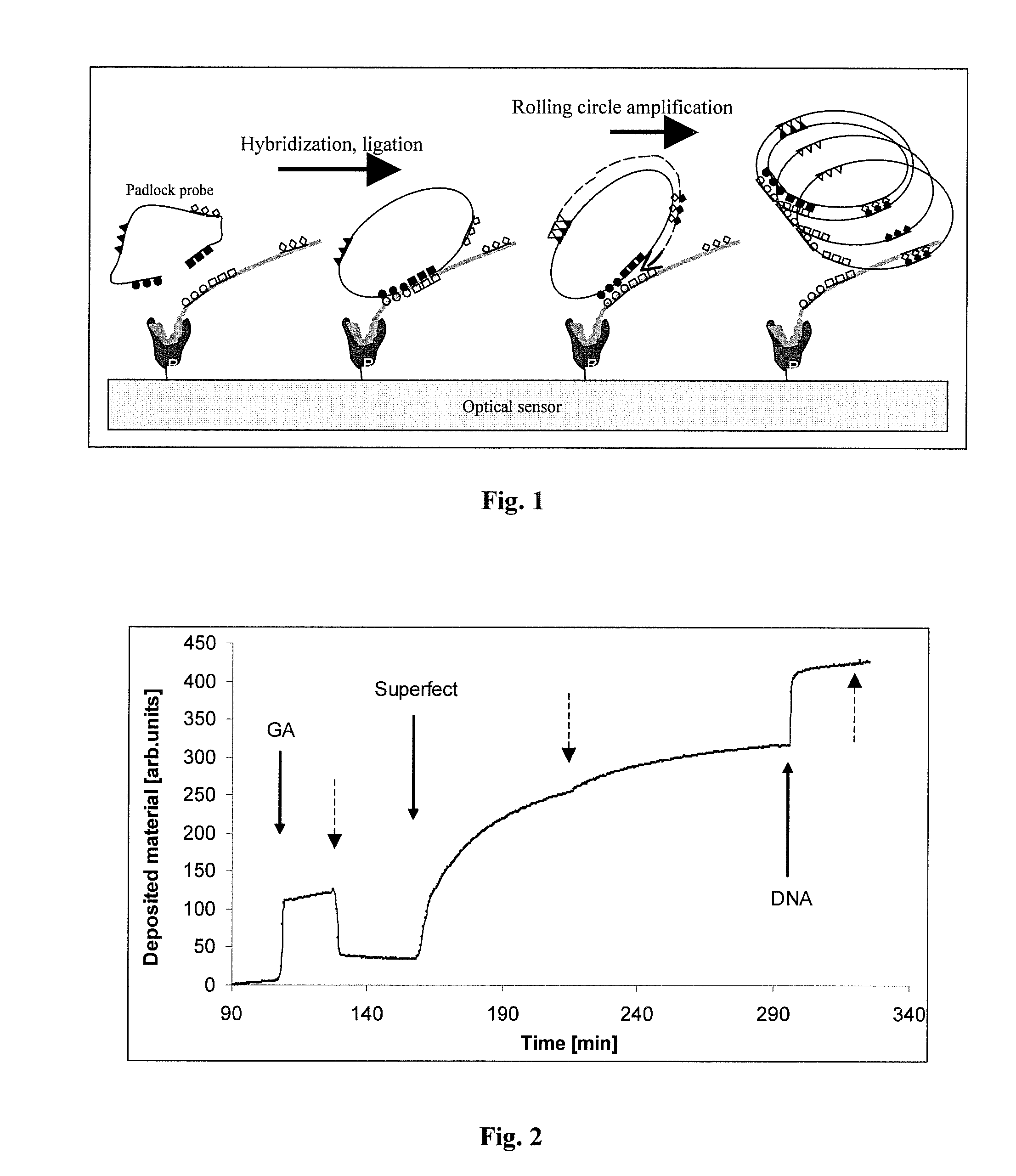 Label-free optical detection method