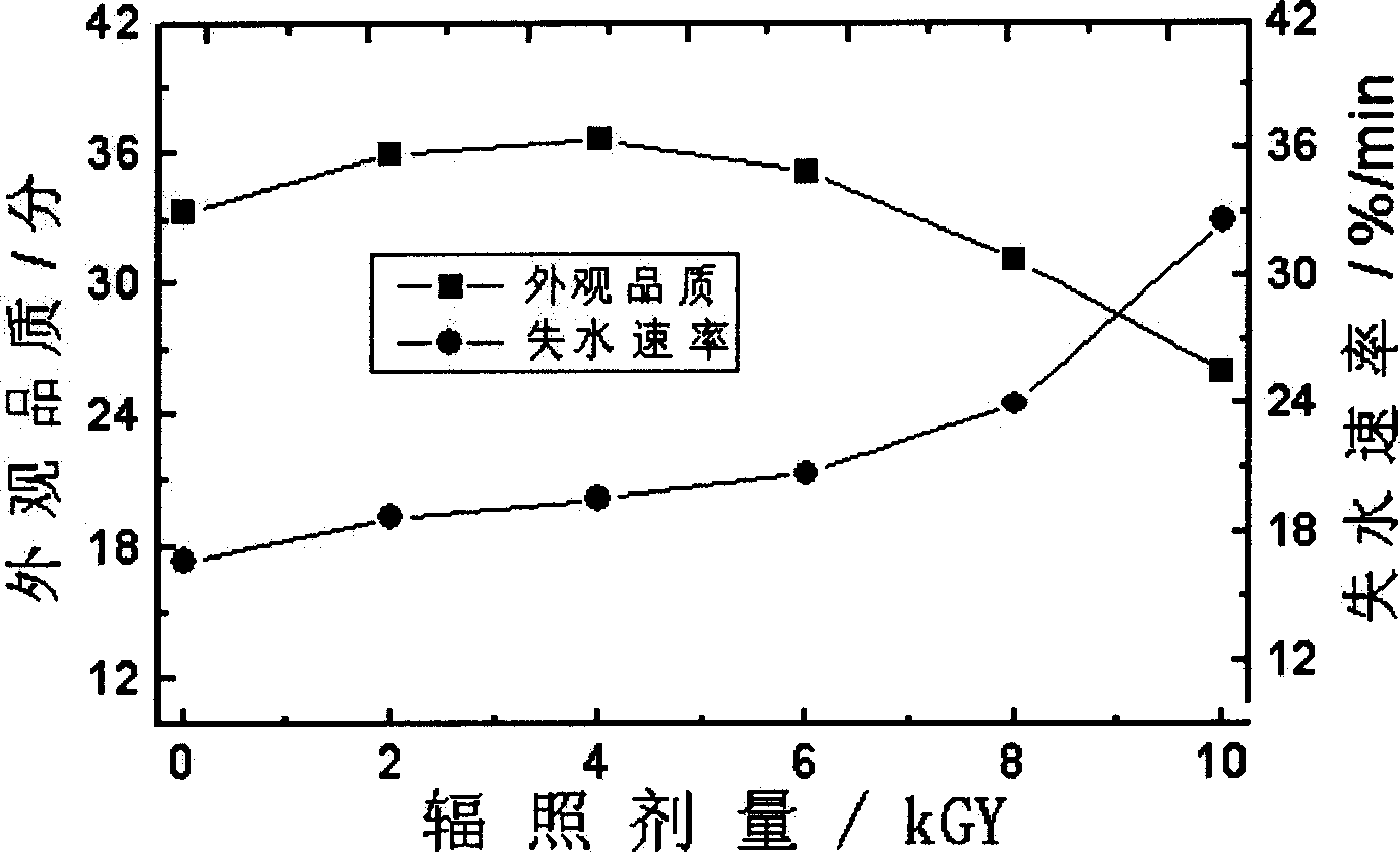 Irradiation pretreatment process for producing dry fruits and vegetalbe