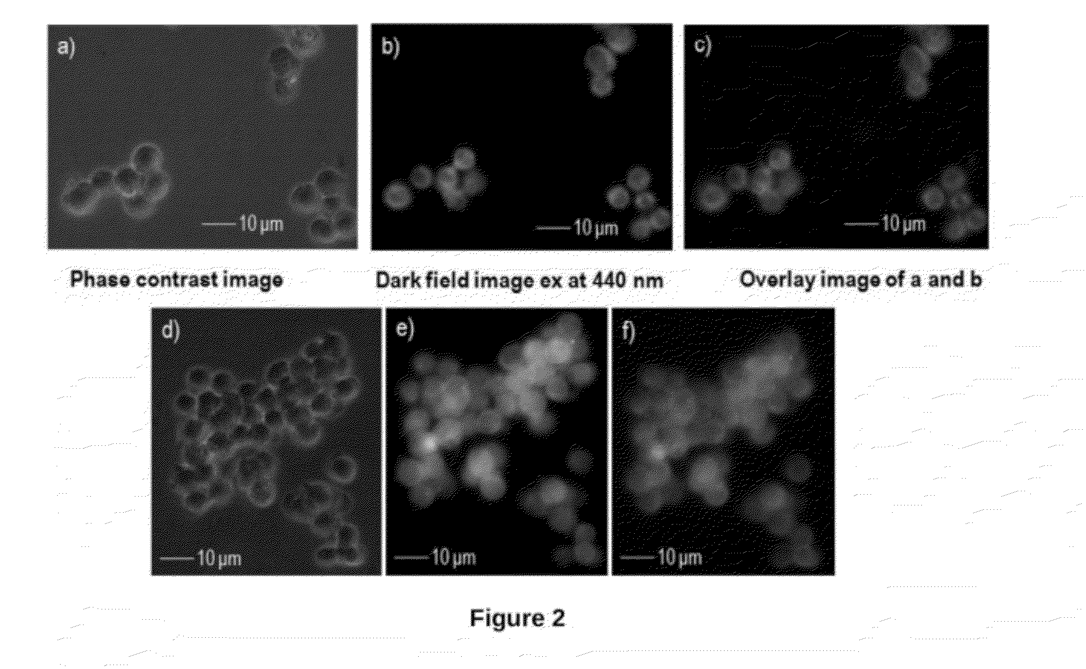 Reusable End-Capped Bipyridine Compound Useful For Selective Detection Of Cyanide Anions And Process For Preparation Thereof