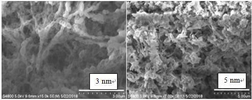 Stretchable transparent conductive hydrogel and preparation method thereof