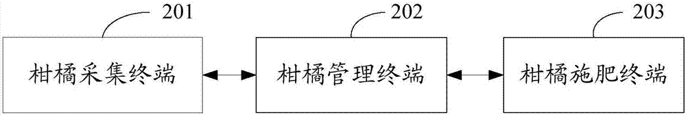 Automatic fertilization method and system for citrus reticulata