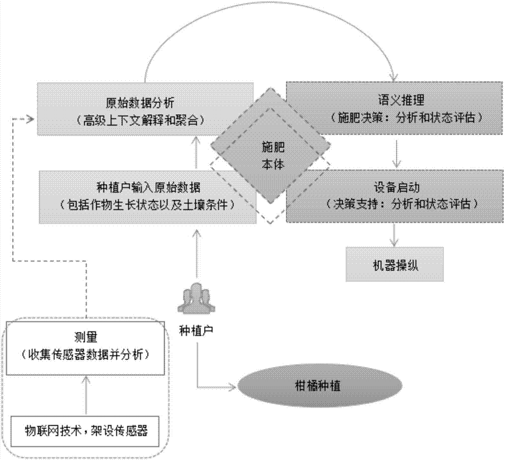 Automatic fertilization method and system for citrus reticulata