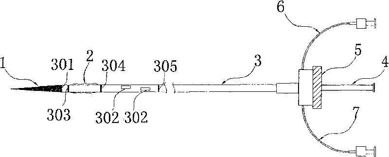 Sacculus conveyer