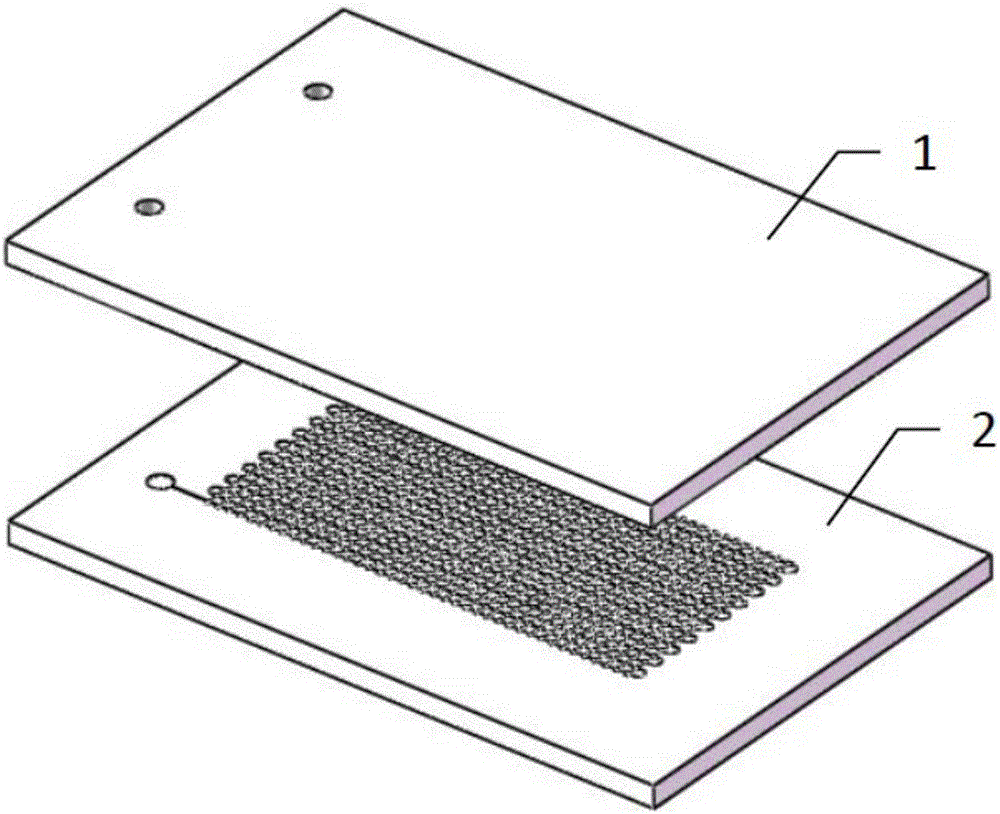 Micro-fluidic chip for single cell capturing and culture