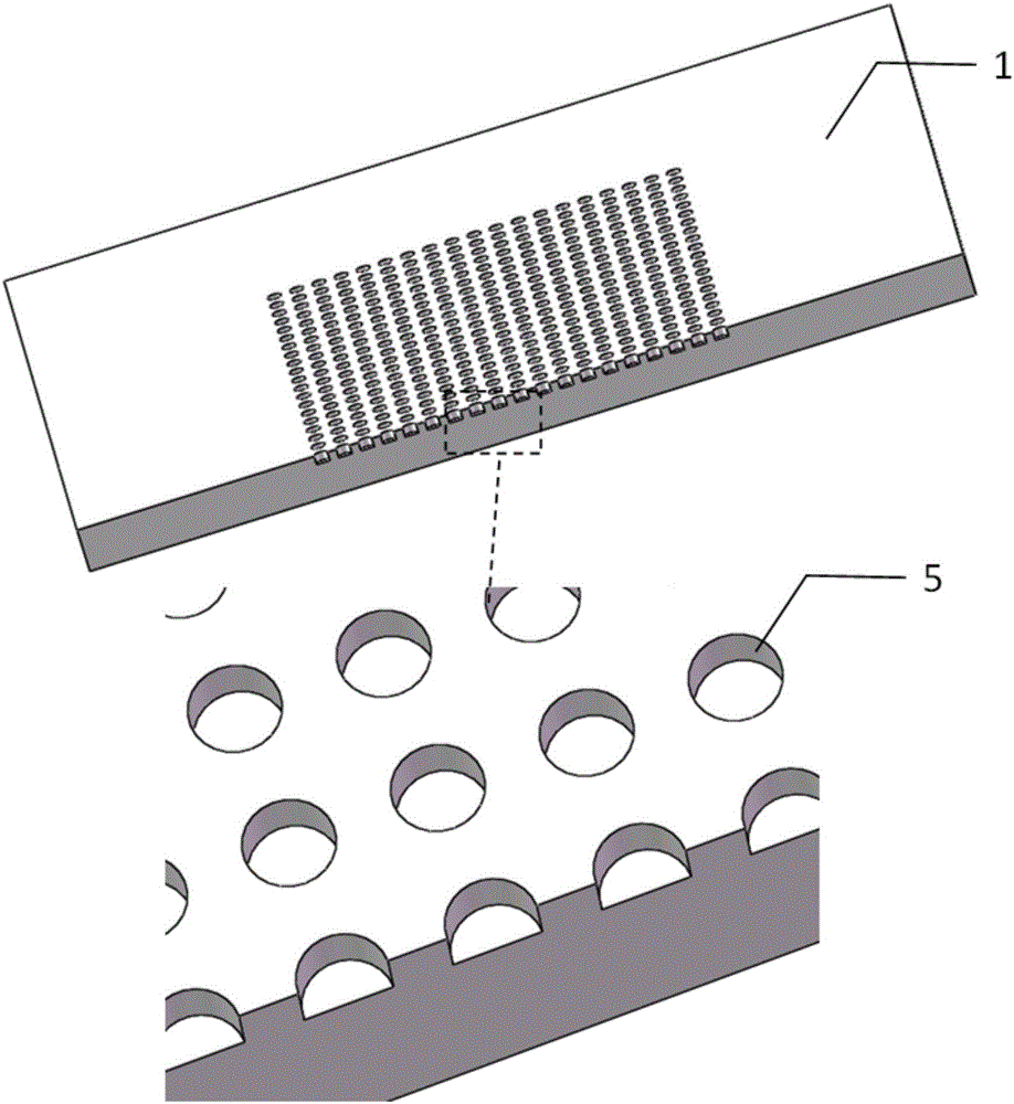 Micro-fluidic chip for single cell capturing and culture