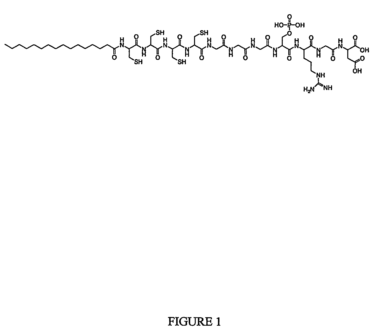 Composition and method for self-assembly and mineralization of peptide amphiphiles