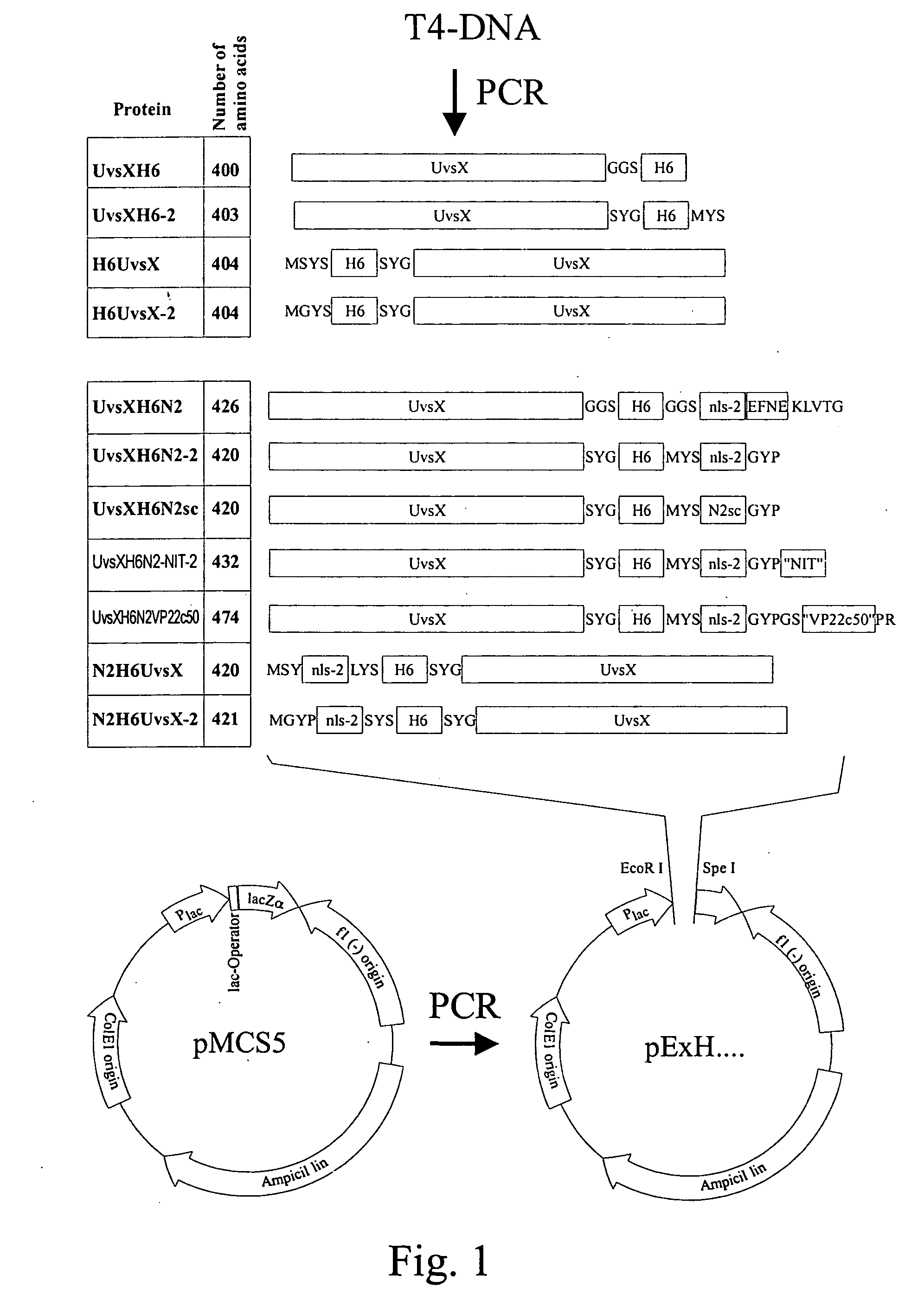 Modular transfection systems