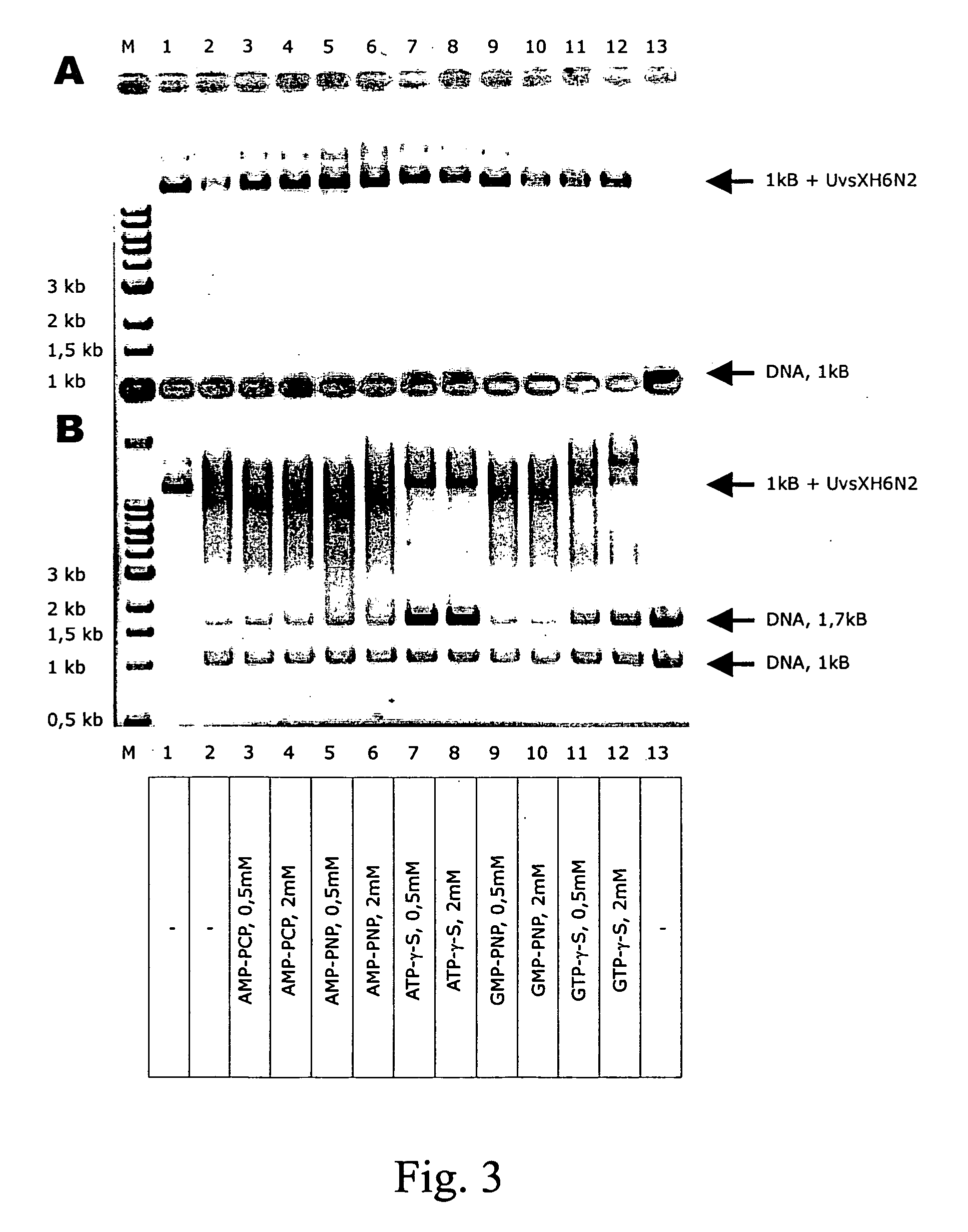 Modular transfection systems