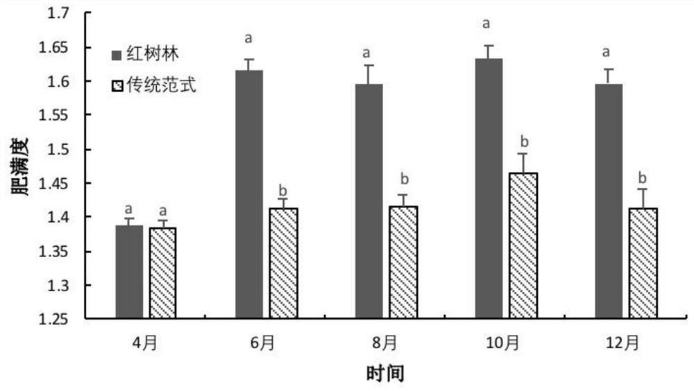 Coupling method of planting and raising Mudskipper in mangrove area