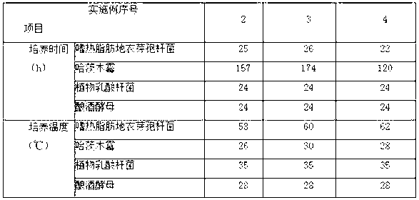 Microbial organic fertilizer by using papermaking sludge as raw material and preparation method thereof