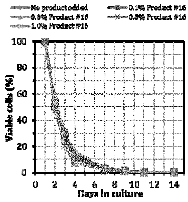 Anti-aging composition comprising a plant extract