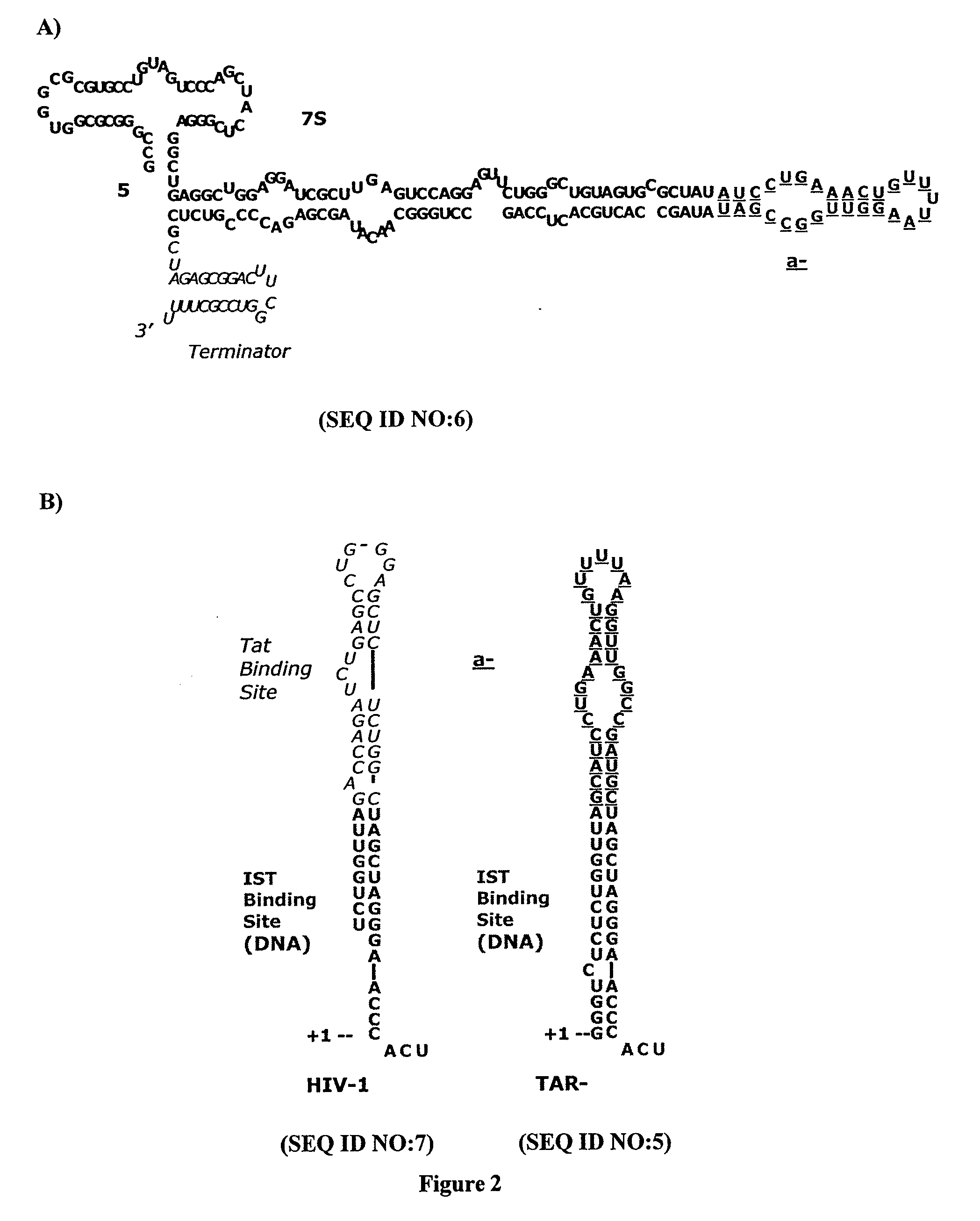 Gene knock-down by intracellular expression of aptamers