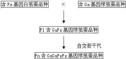 Method for cultivating natural green cocoon silkworm variety