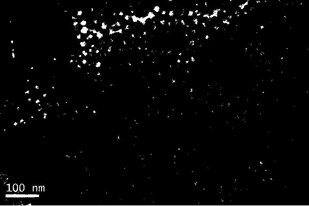 Antibody, polypeptide and nucleic acid combined treatment targeting carrier as well as preparation method and application thereof