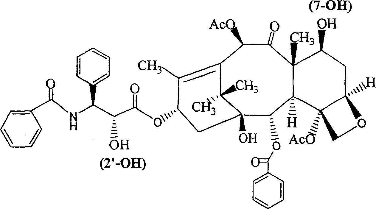 Paclitaxol predrug of biodegradable polymer and its synthesis method