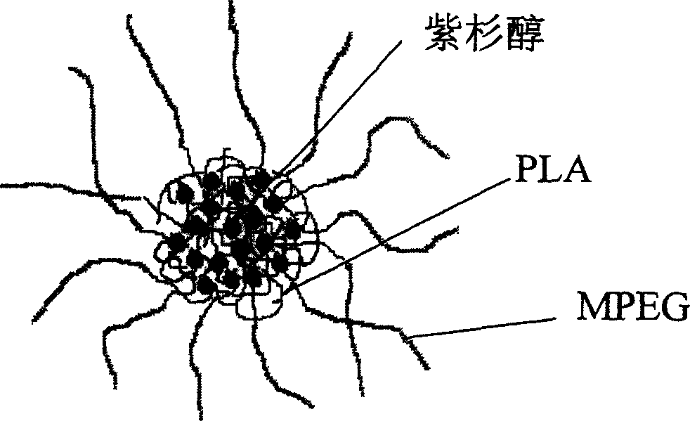 Paclitaxol predrug of biodegradable polymer and its synthesis method