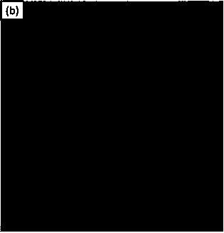 Nanometer titanium dioxide powder for flue gas deodorization/denitration catalyst and preparation method and application thereof