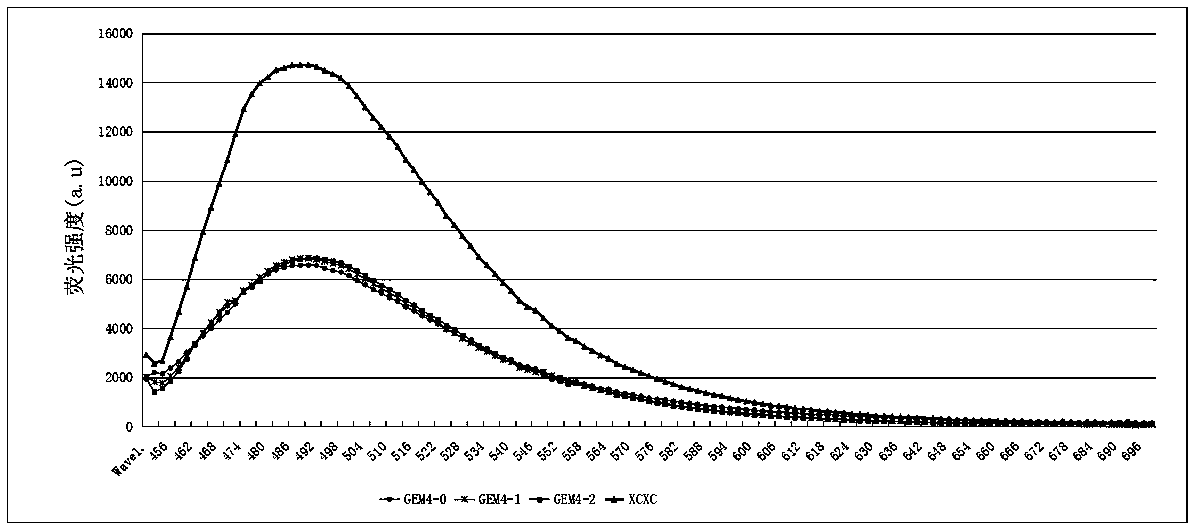 Method for rapidly detecting fusarium DNA