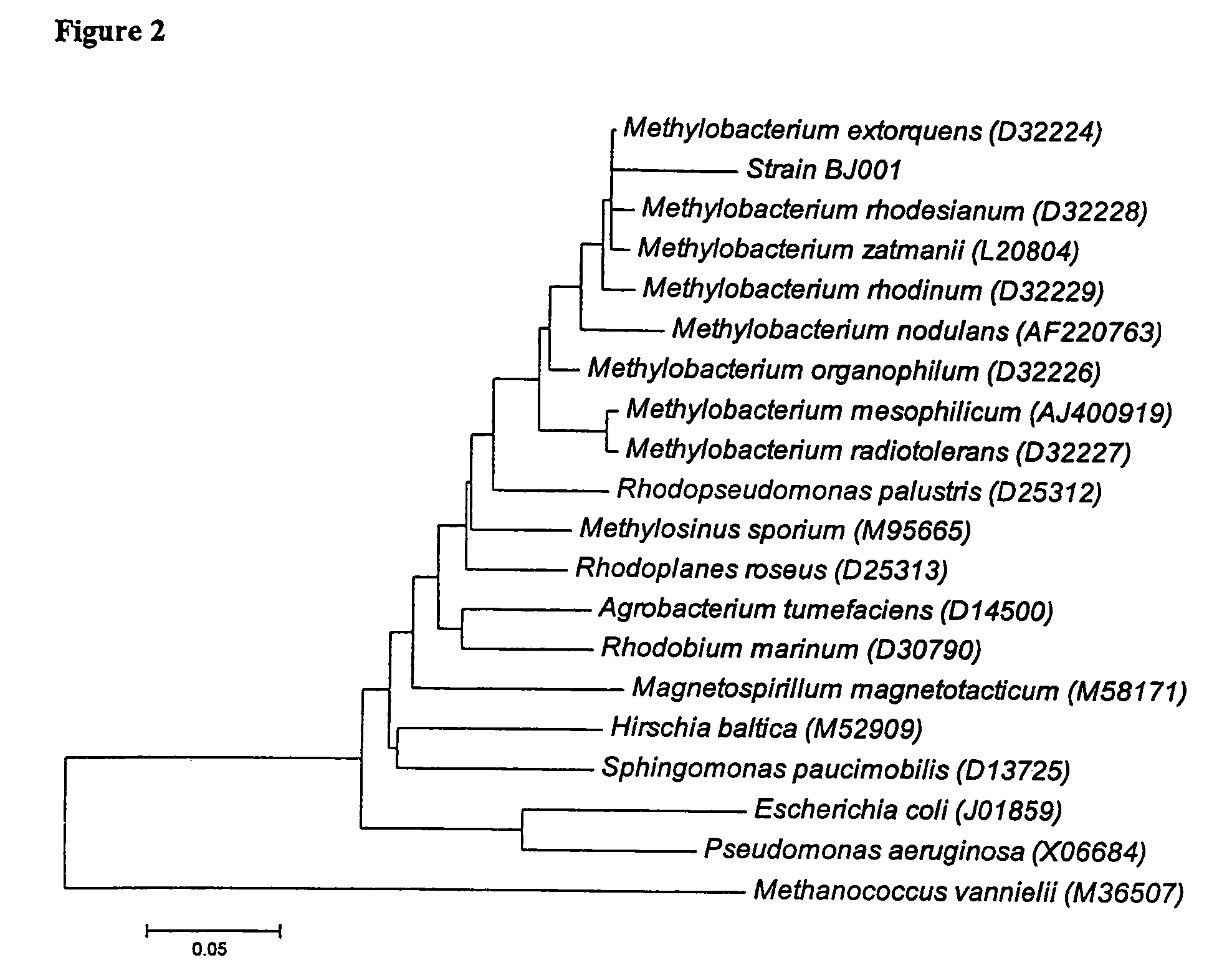 Methods and compositions for degradation of nitroaromatic and nitramine pollutants