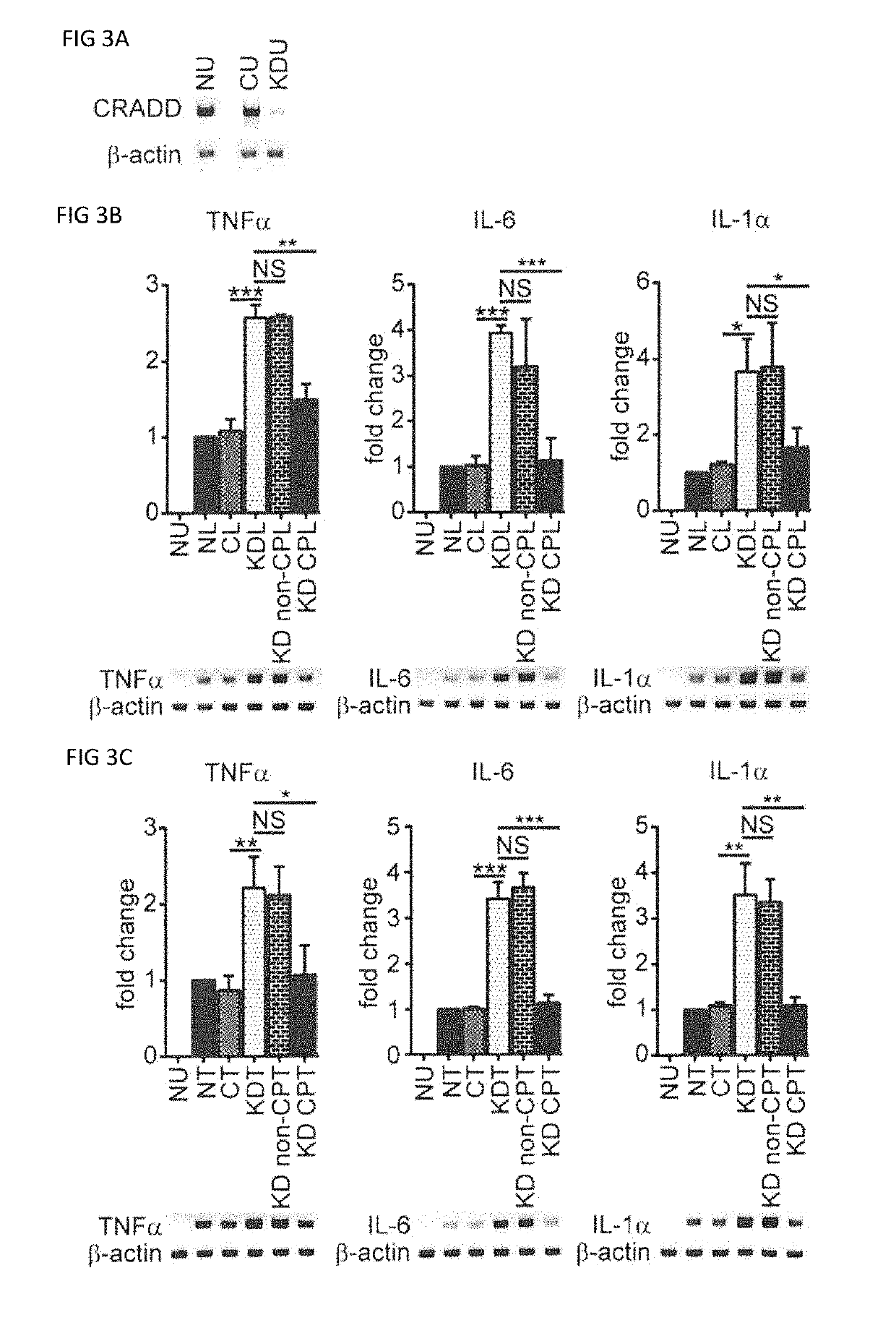 Compositions and methods for preventing and reducing inflammation and treating disorders associated with inflammation