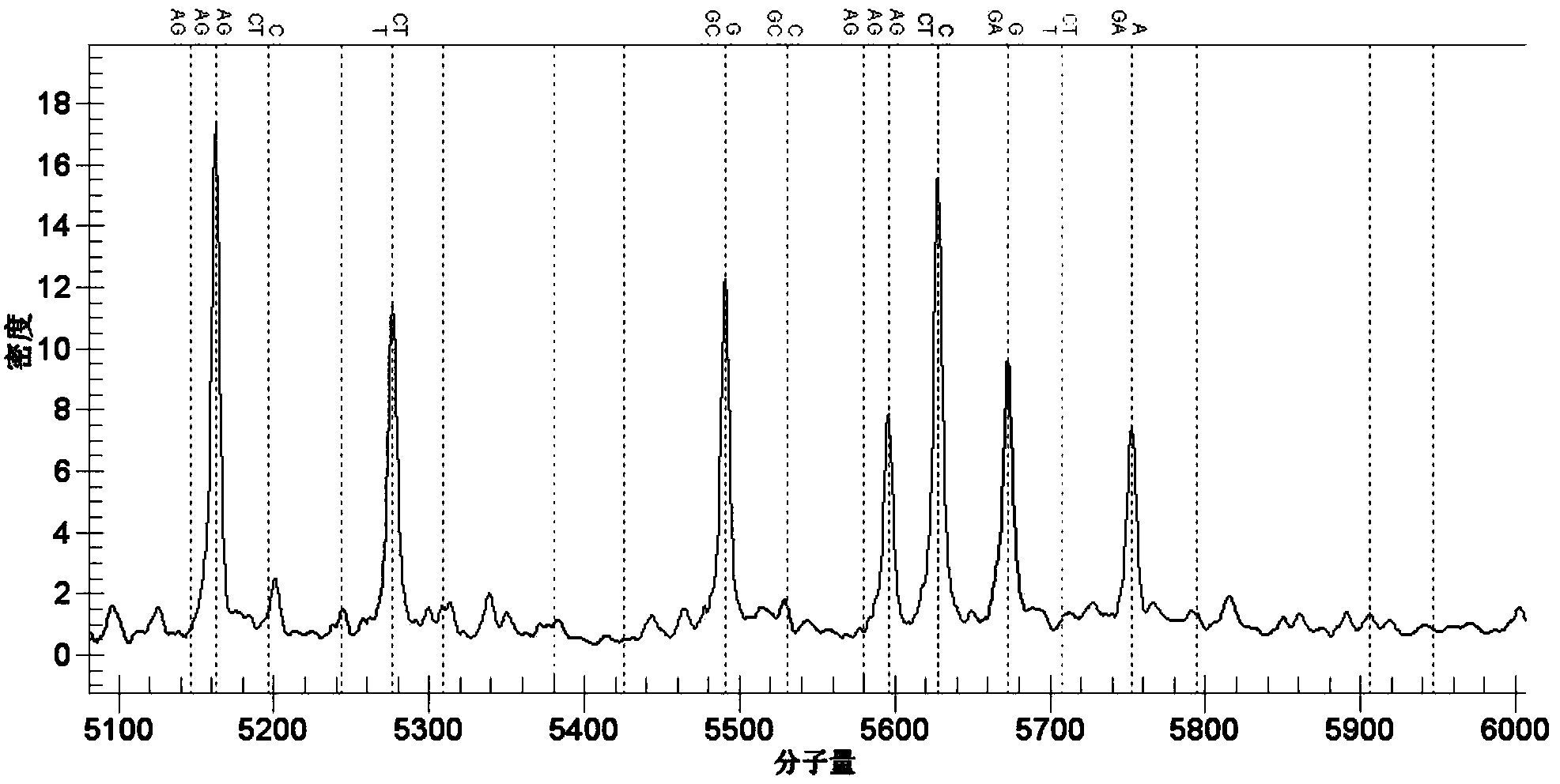 Kit for detecting VKH (Vogt Koyanagi Harada) syndrome