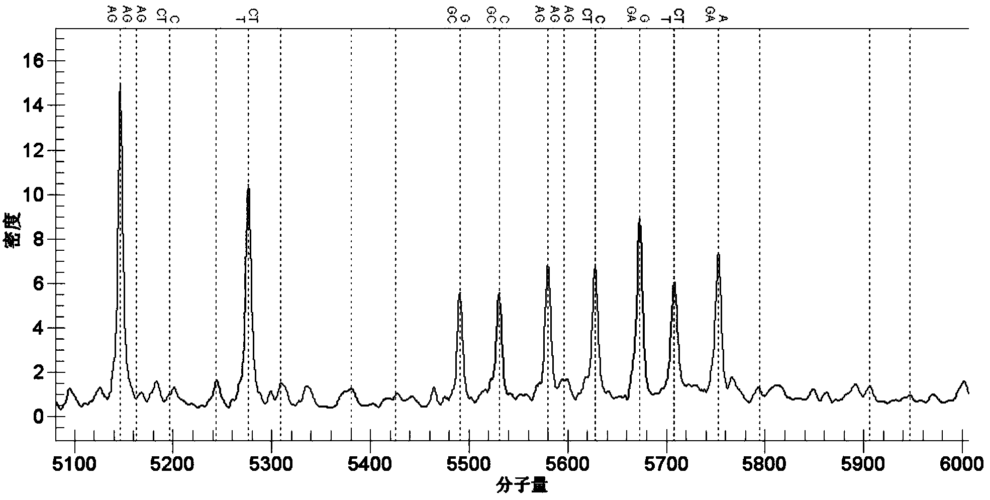 Kit for detecting VKH (Vogt Koyanagi Harada) syndrome