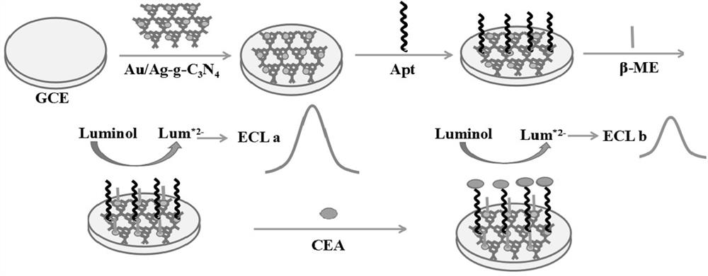 A label-free electrochemiluminescent aptasensor for detecting carcinoembryonic antigen and its preparation method and use method