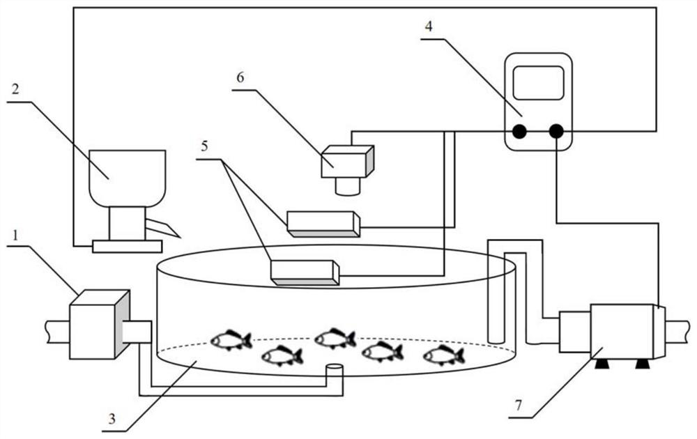 A fish welfare adaptive feeding system suitable for recirculating aquaculture