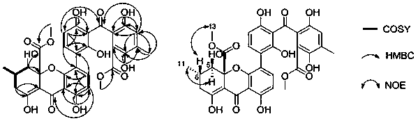 Rhyronic acid i derived from Penicillium oxalicum and its application in the preparation of anti-human esophageal cancer drugs