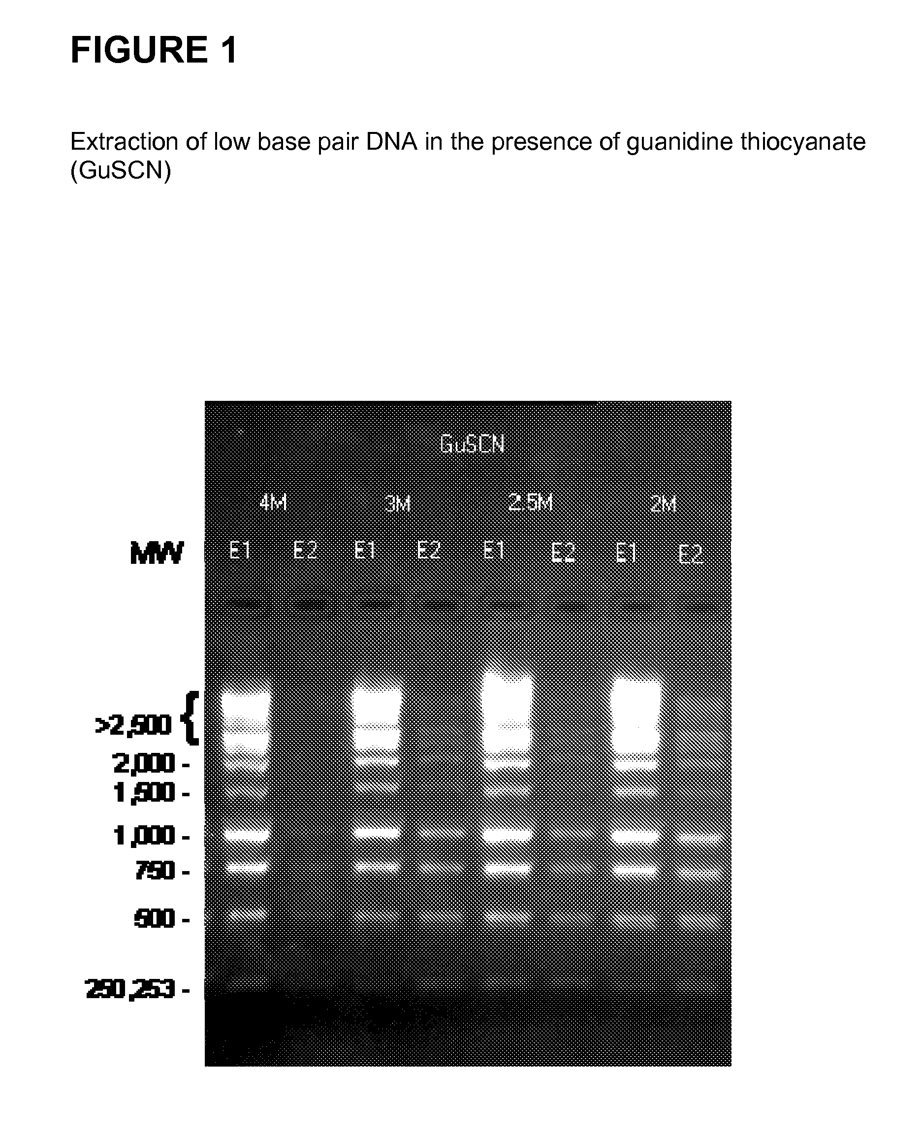 Methods and compositions for the extraction and amplification of nucleic acid from a sample