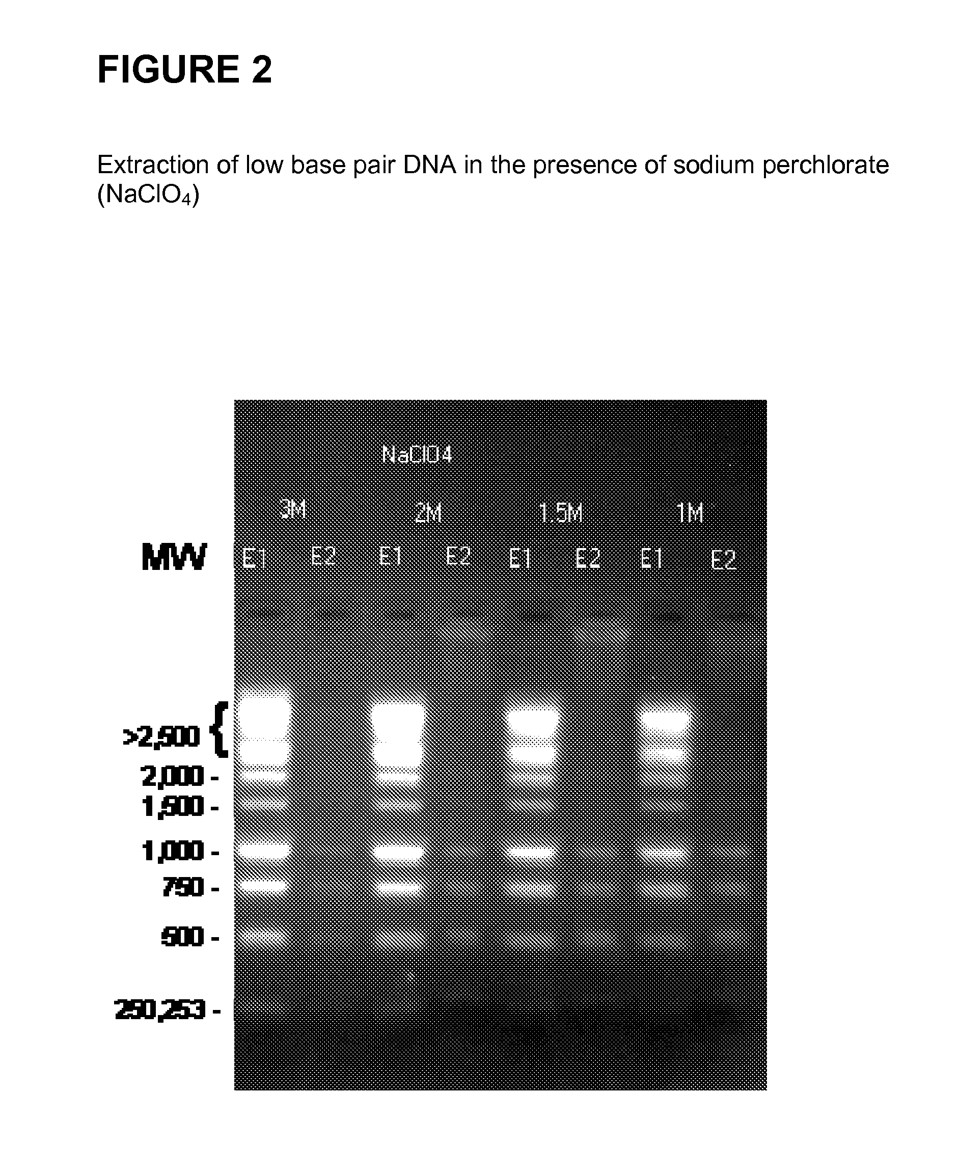 Methods and compositions for the extraction and amplification of nucleic acid from a sample