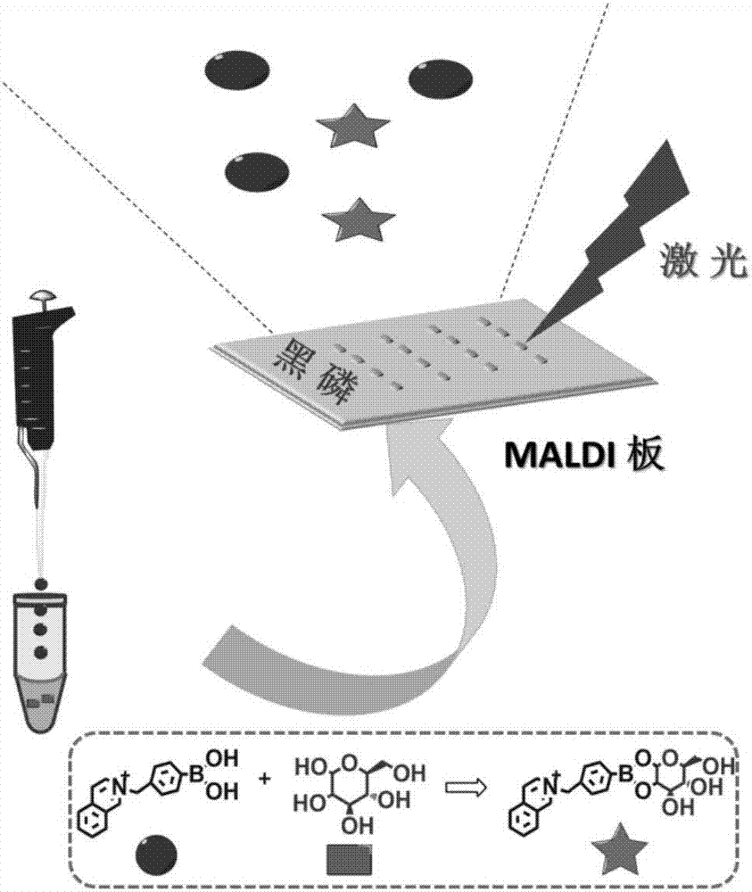 Method for rapidly, sensitively and quantitatively detecting glucose in serum