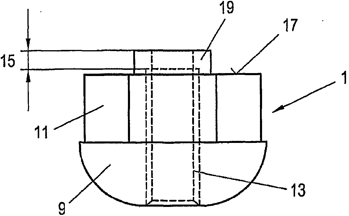 Anchor and anchor nut thereof