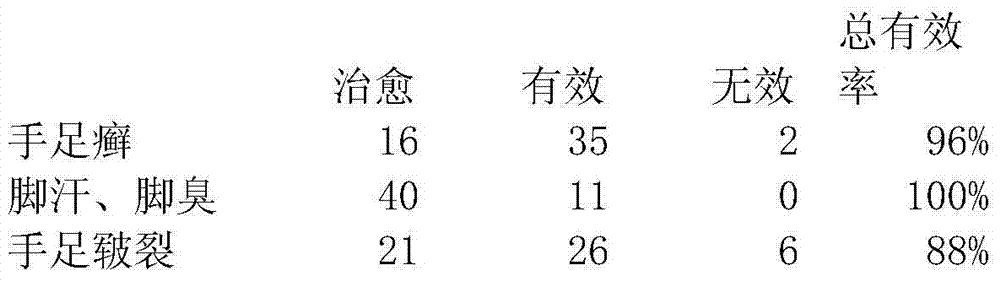 Traditional Chinese medicine food-care washing liquid and preparation method thereof