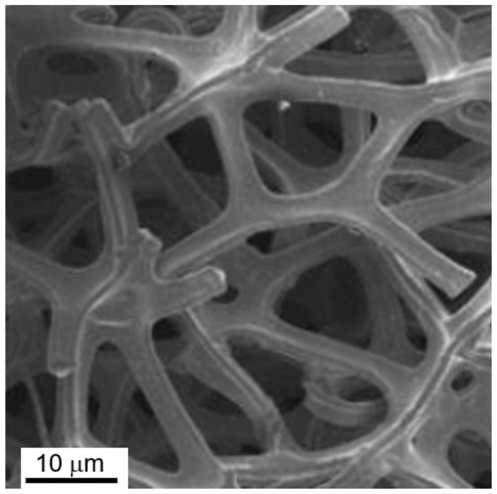 Copper oxide nanowire loaded silver particle composite electrode, preparation method and application