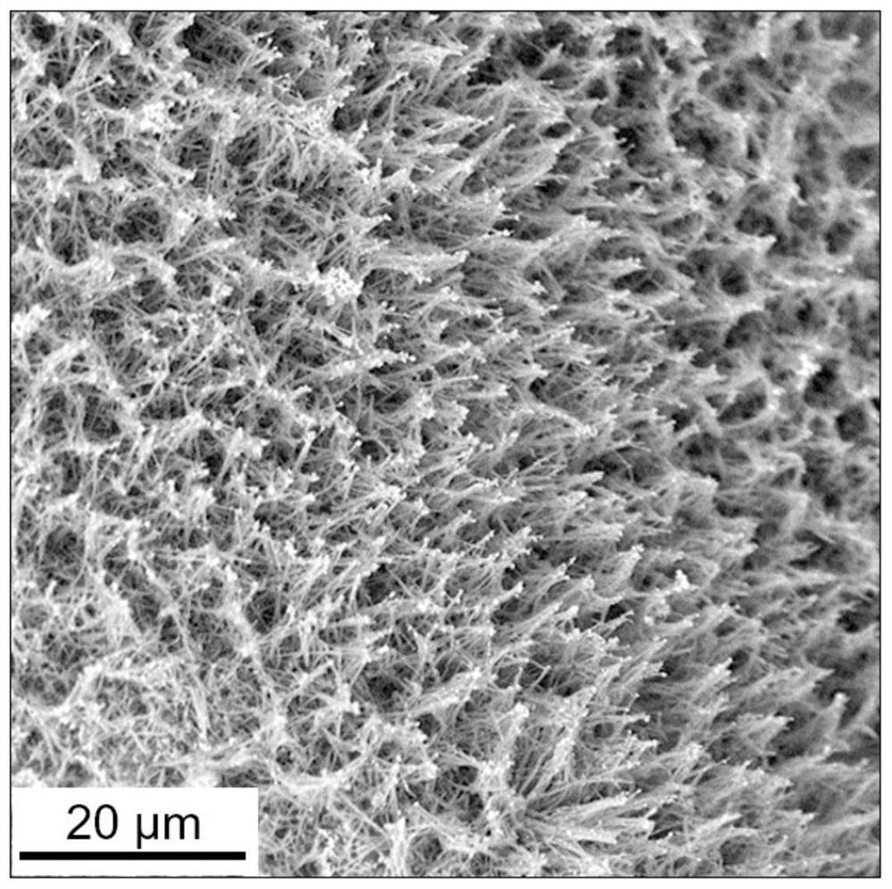 Copper oxide nanowire loaded silver particle composite electrode, preparation method and application