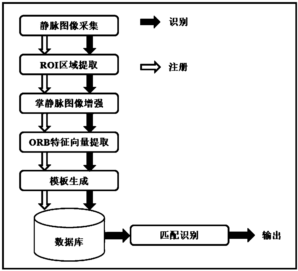 ORB feature extraction-based palm vein recognition system and method