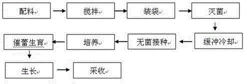 Pleurotus eryngii culture medium and industrial culture method