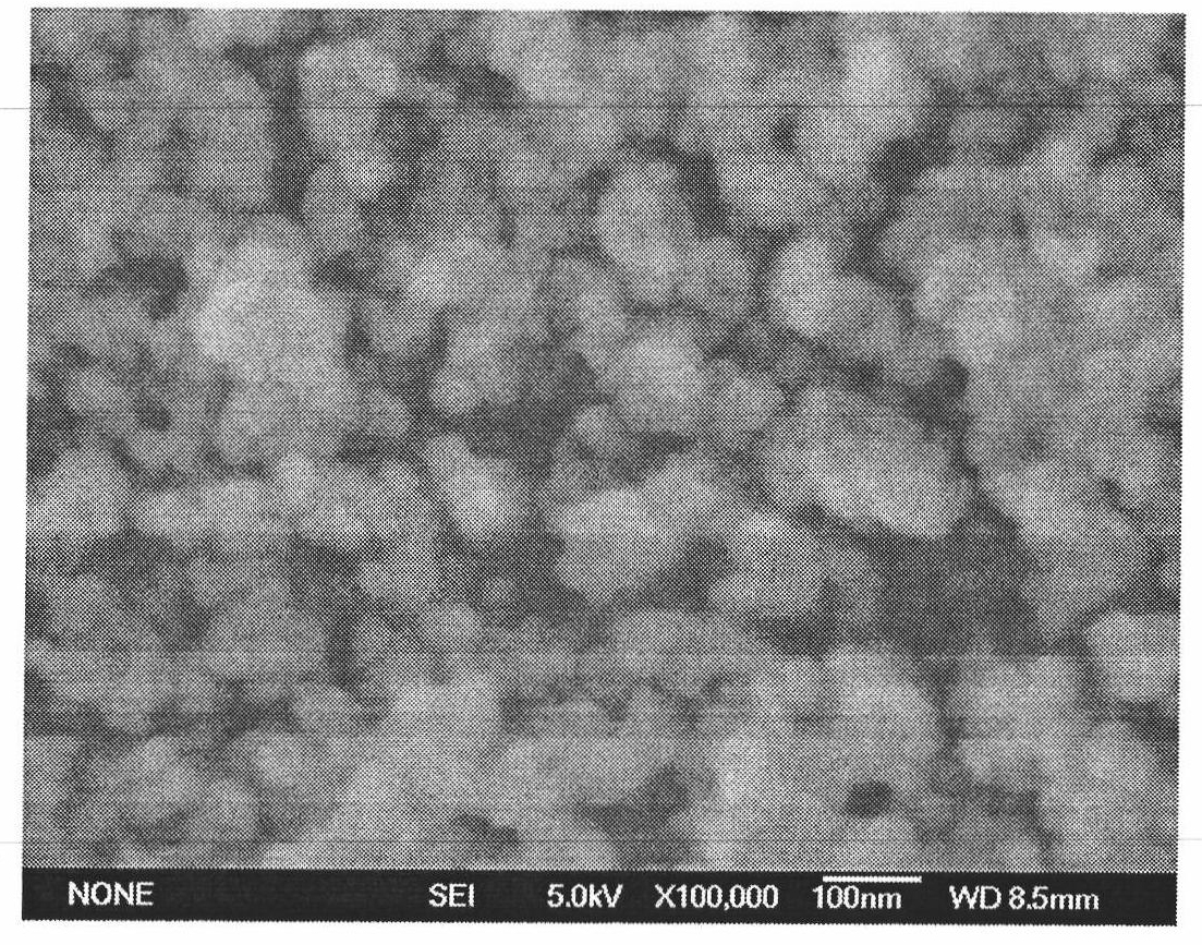 Gold shell magnetic nanoparticles, preparation thereof and use thereof