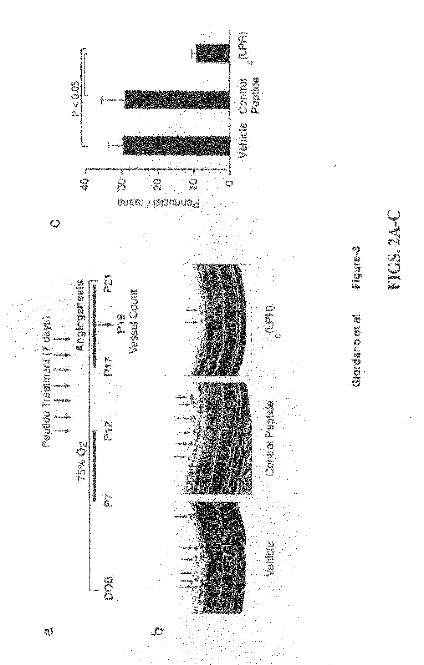 Vegfr-1/nrp-1 targeting peptides