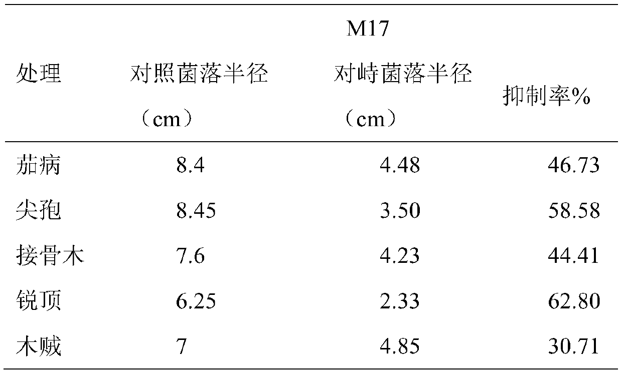 Solid fermentation of trichoderma harzianum and application of products of solid fermentation of trichoderma harzianum in potato fusarium root rots