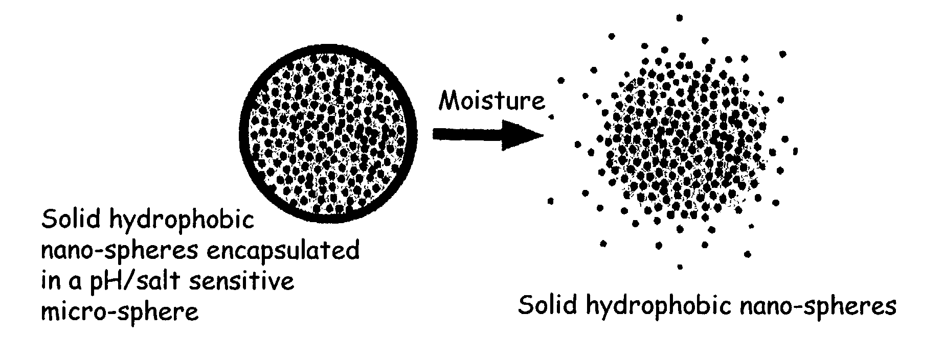 Targeted controlled delivery compositions activated by changes in pH or salt concentration