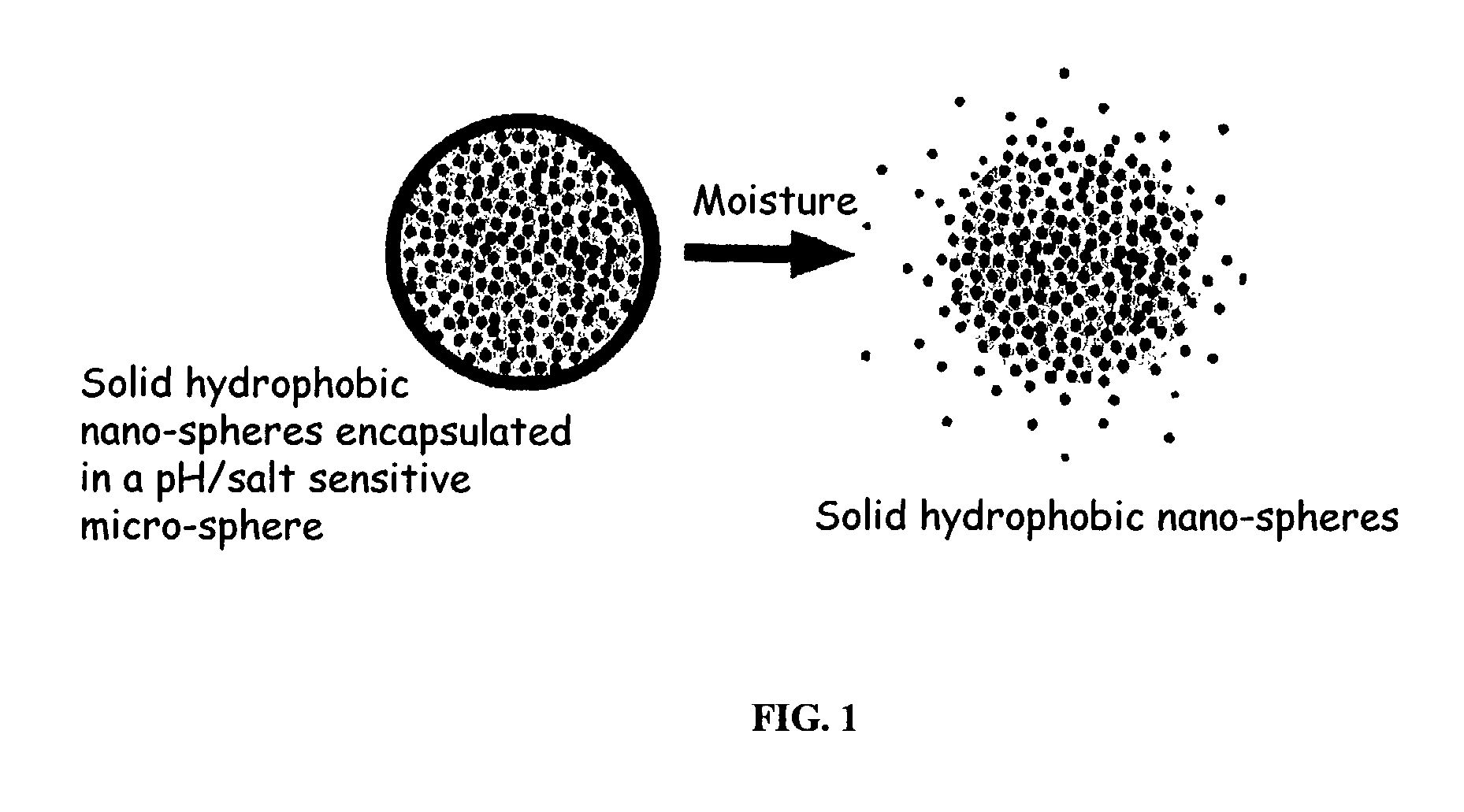 Targeted controlled delivery compositions activated by changes in pH or salt concentration