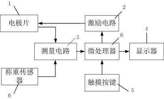 Electronic scale with fat measurement function